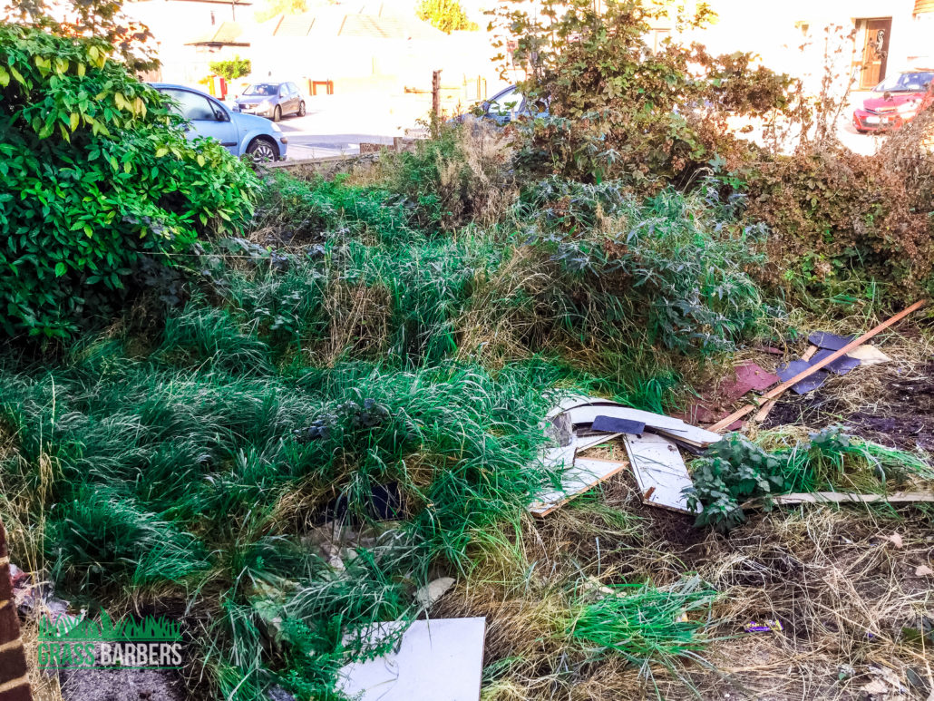 Overgrown Garden Clearance, Waste Removal & Garden Restoration in Bexleyheath DA7