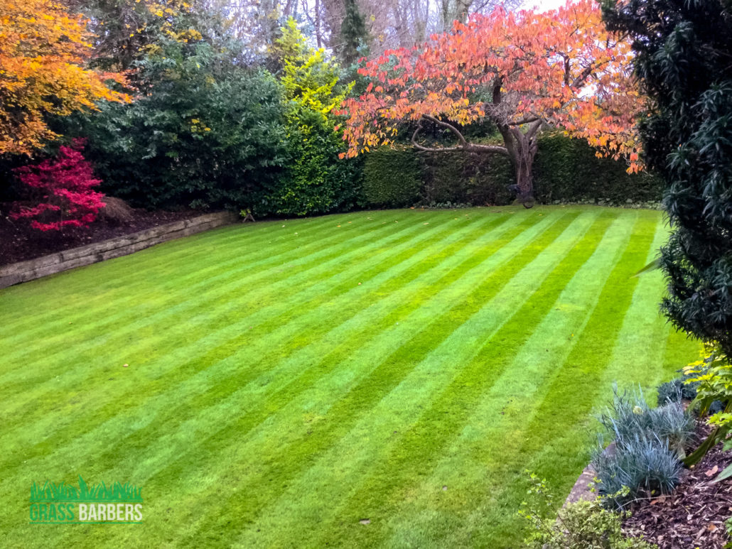 Professional Garden Maintenance Services in Woldingham CR3