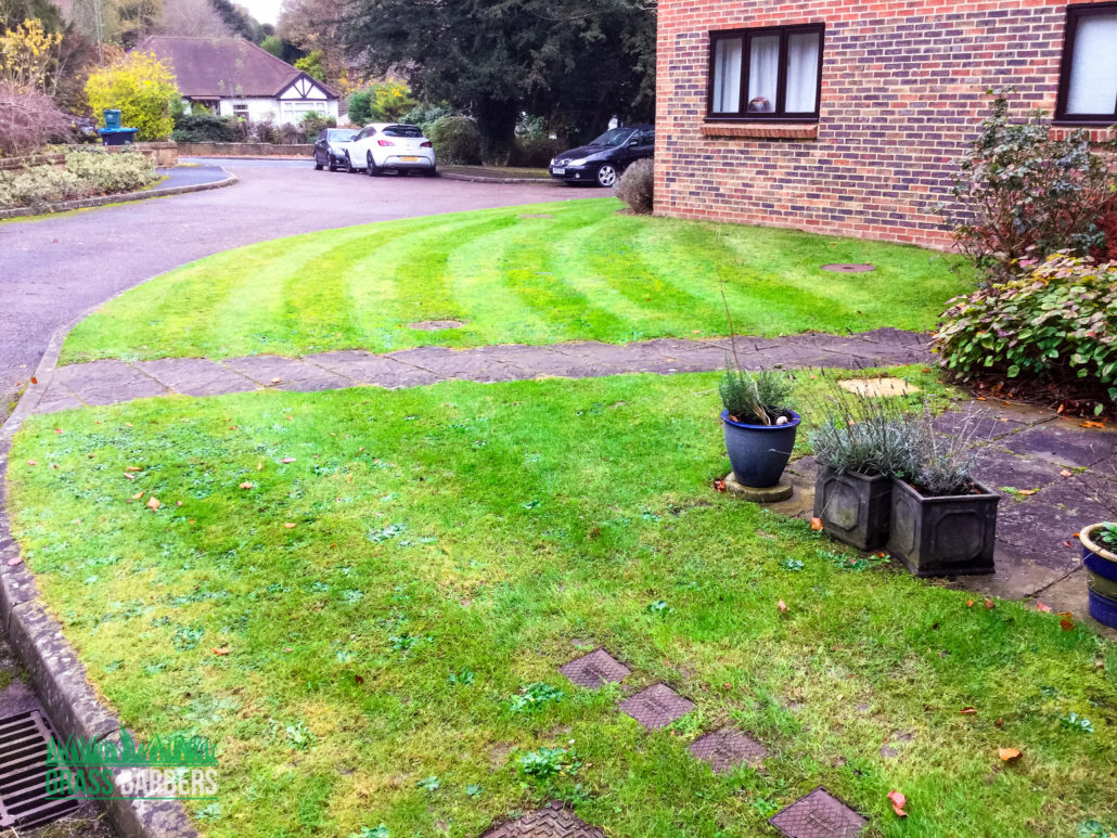 Block Grounds Maintenance Project in Caterham CR3, Surrey