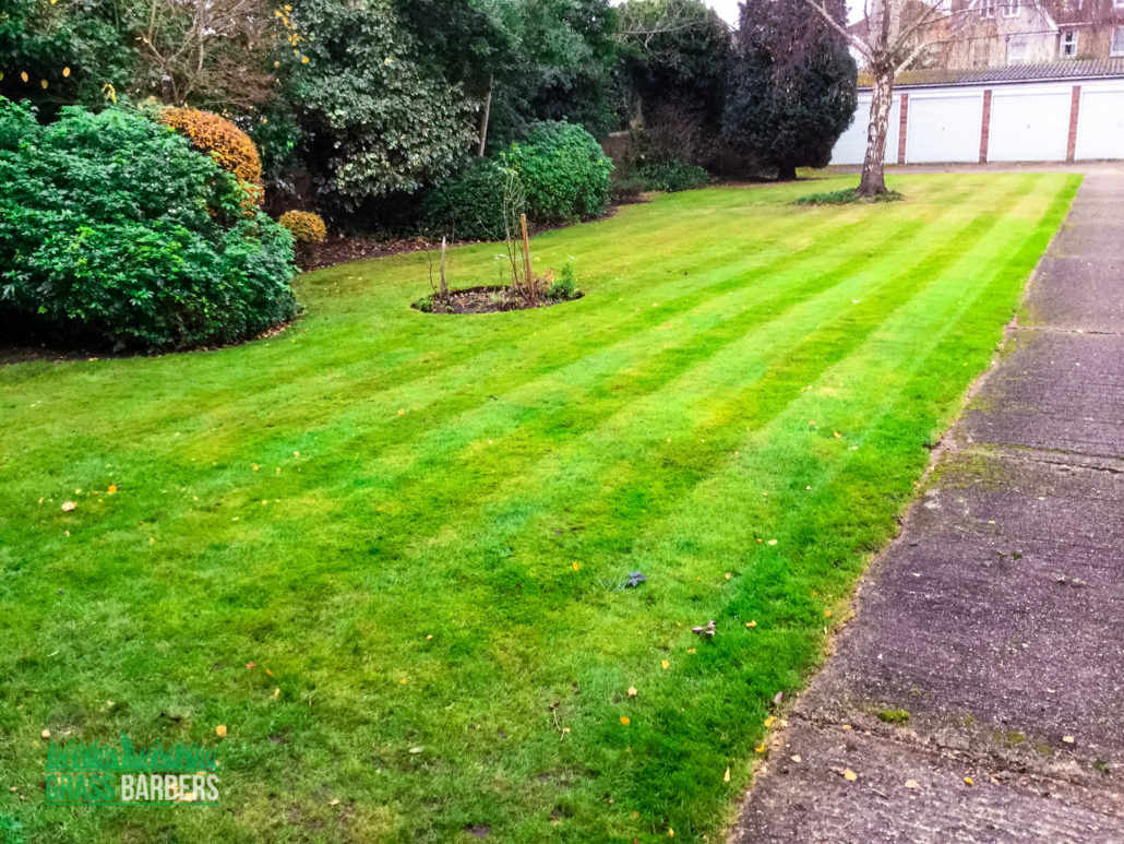 Professional Grounds Maintenance Services in Croydon CR0