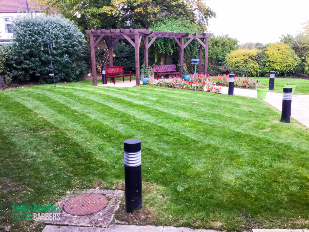 Care Home Grounds Maintenance Project in Mitcham CR4, London