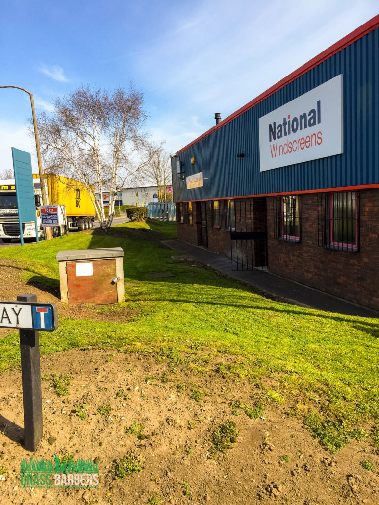 Expert Commercial Grounds Maintenance Services in Croydon CR0