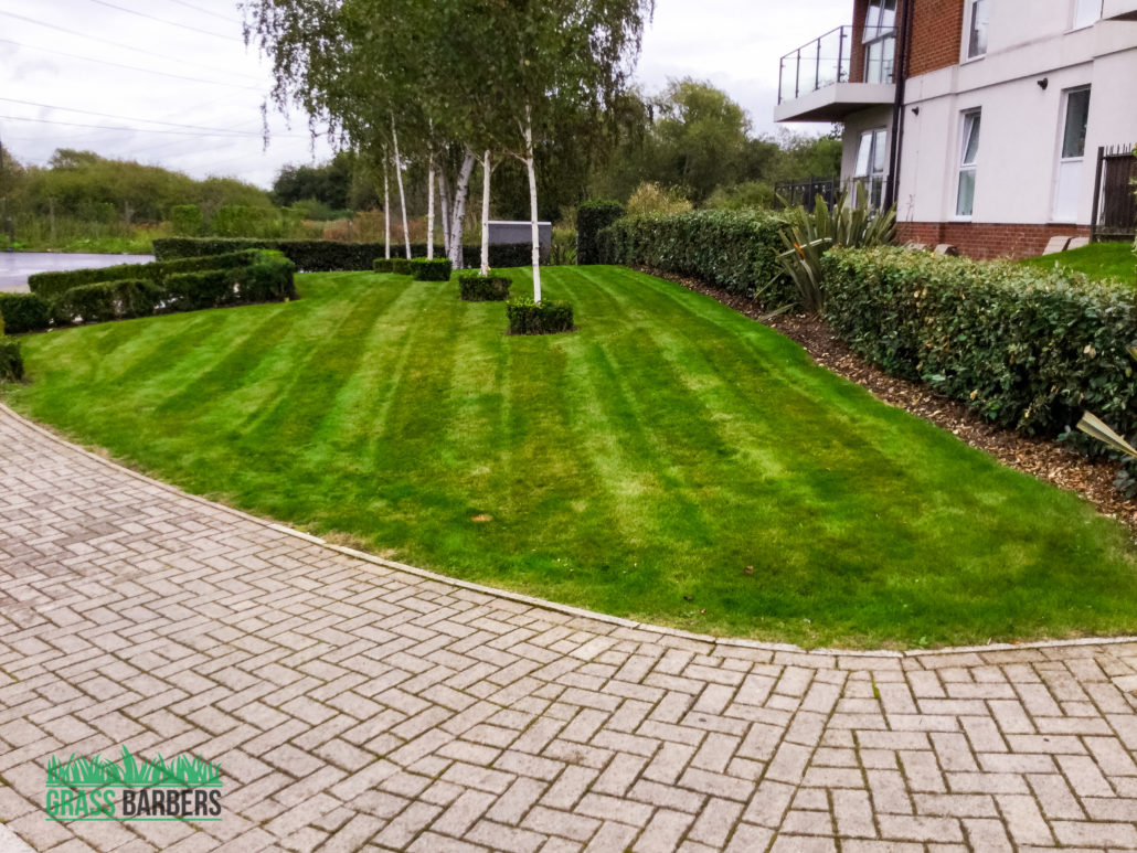 Commercial Grounds Maintenance, Landscaping & Site Management Services in Dartford DA1