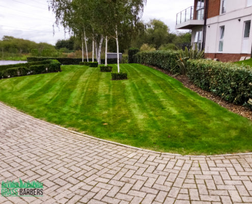 Commercial Grounds Maintenance Project in Dartford DA1