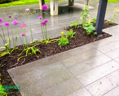 Commercial Grounds Maintenance Project in Islington N7