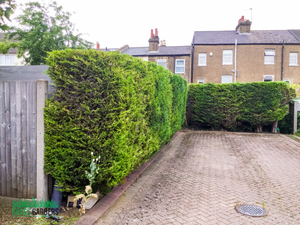 Commercial Grounds Maintenance Project in Sutton SM1, London