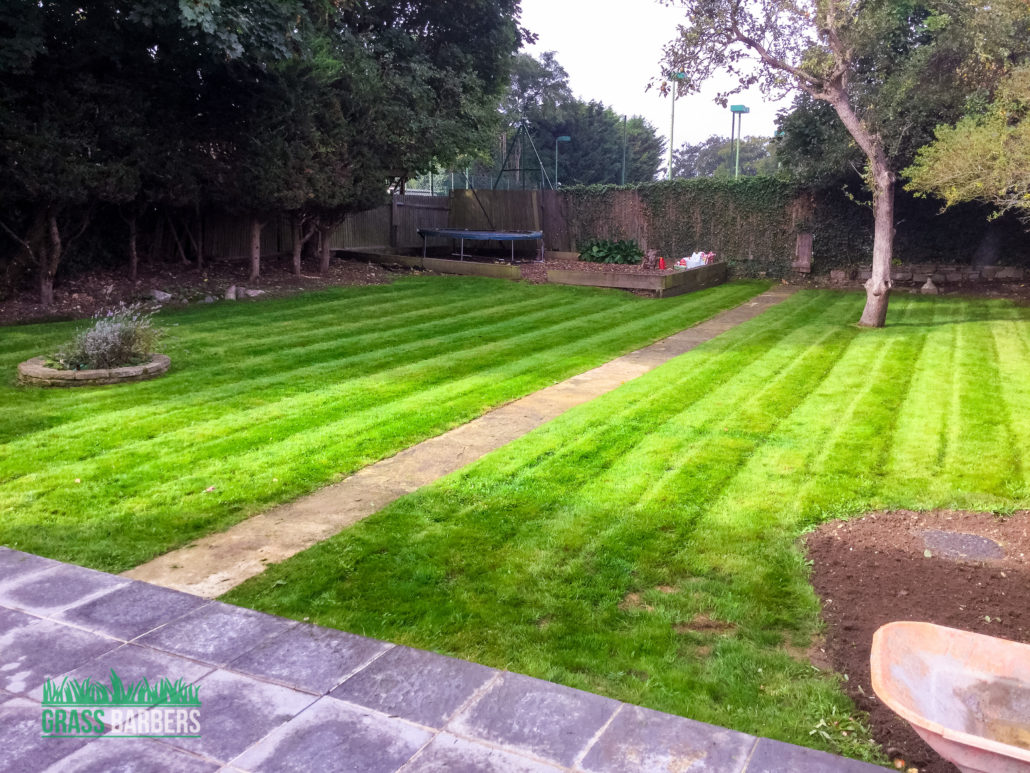 Professional Garden Clearance Services in Carshalton SM5