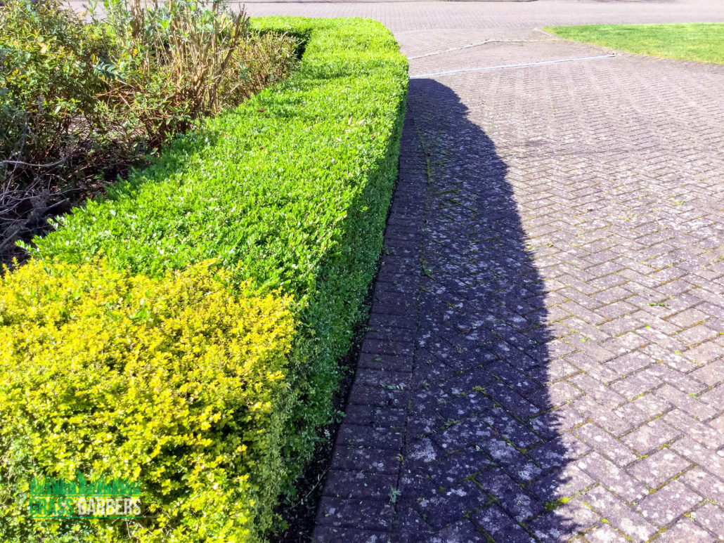 Garden Maintenance, Lawn Care & Hedge Trimming Services in Caterham CR3