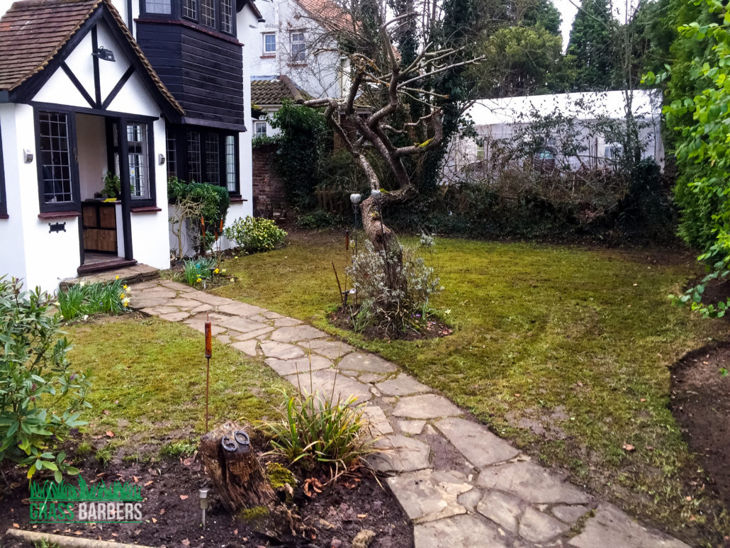 Professional Garden Maintenance Services in Purley CR8