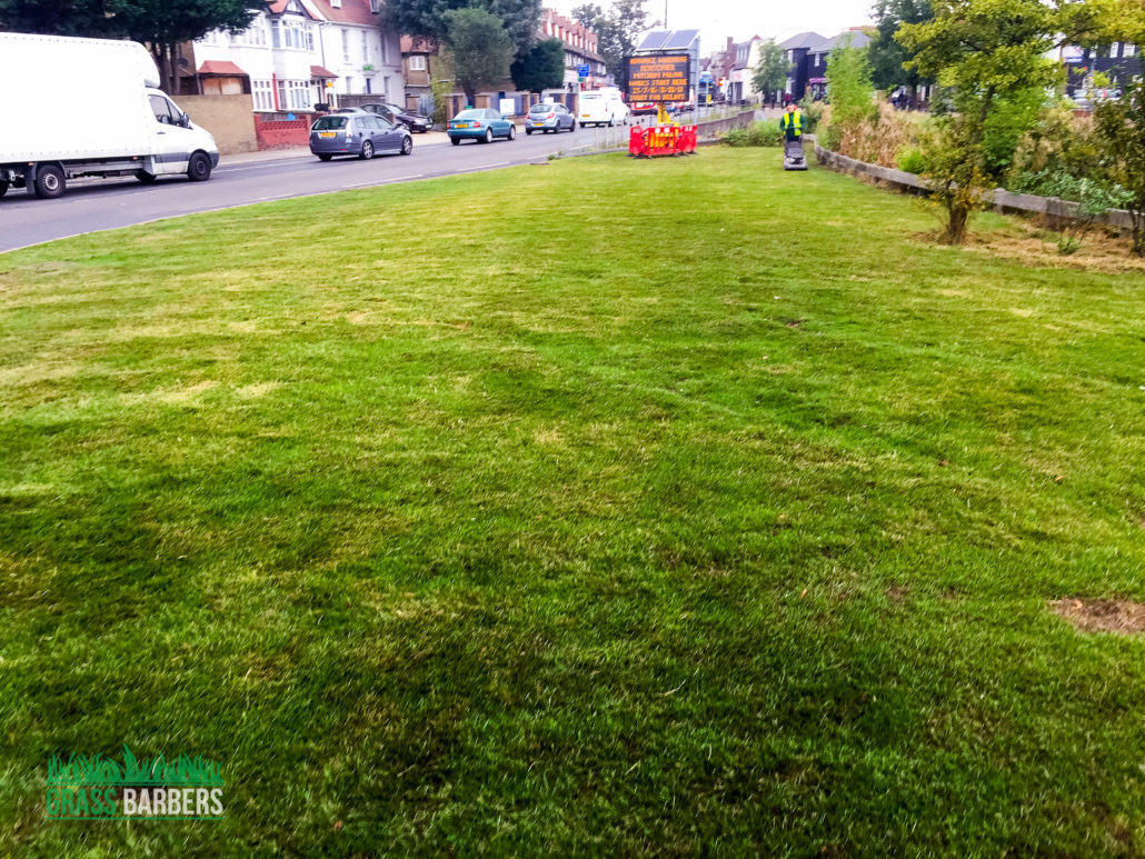 Expert Grass Cutting Services in Mitcham CR4
