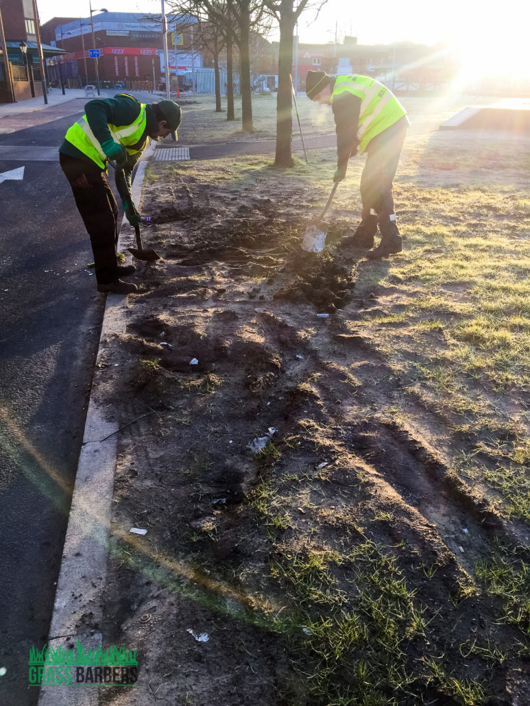 Lawn Care, Turf Repair, Grass Treatment & Lawn Maintenance in Mitcham CR4