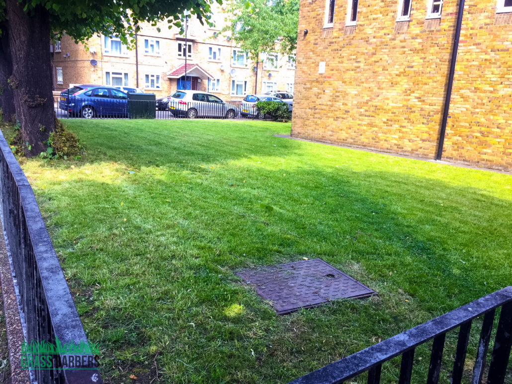 Reliable Grounds Maintenance for Public & Visitor Sites in Brixton SW9