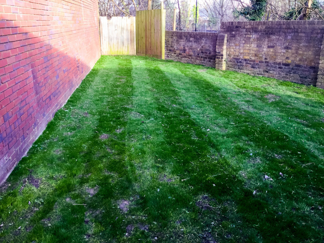 Commercial Grounds Clearance Project in Forest Hill SE23