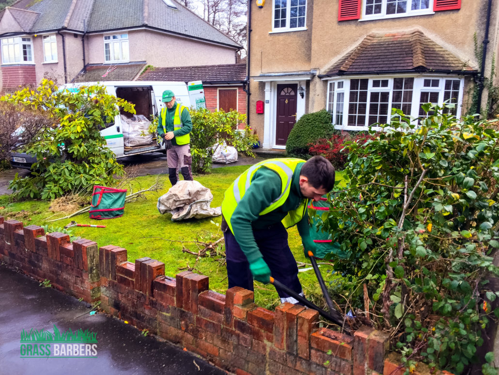 Professional Garden Clearance Services in Shirley CR0