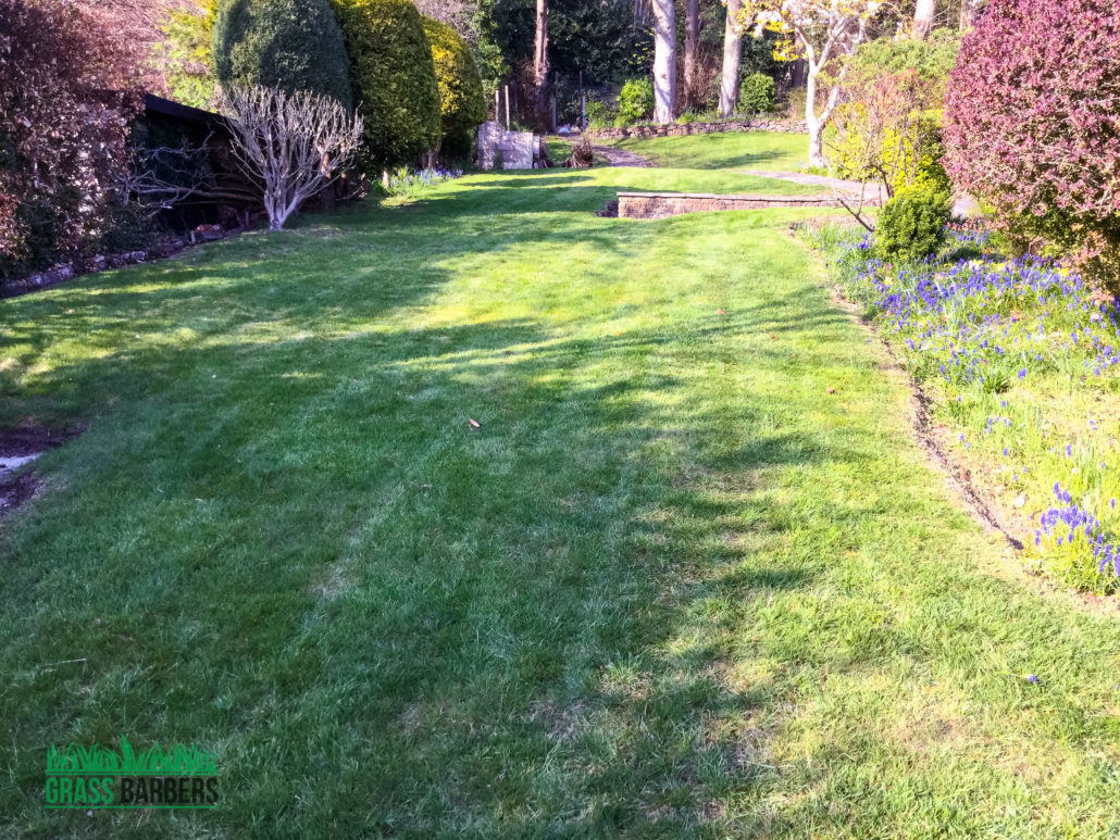 Garden Clearance Project in South Croydon CR2, London