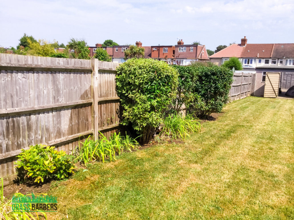 Garden Clearance Project in Sutton SM3, London