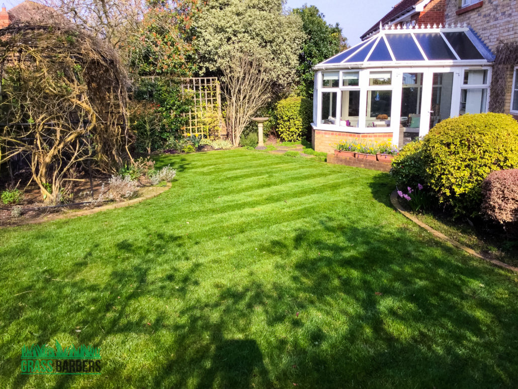 Garden Maintenance Project in Epsom and Ewell KT17, Surrey