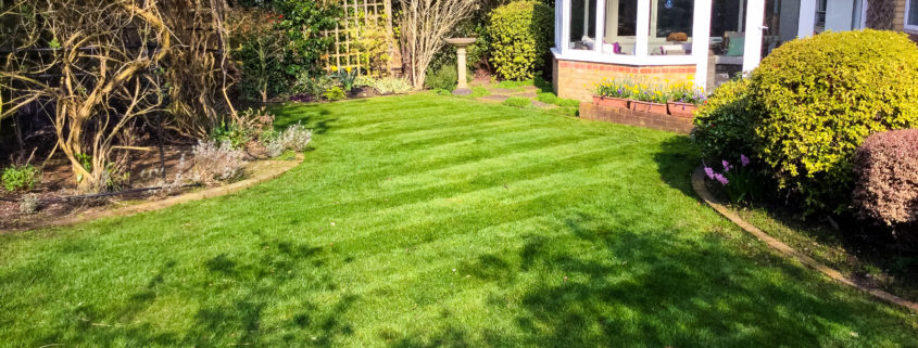 Garden Maintenance Project in Epsom and Ewell KT17