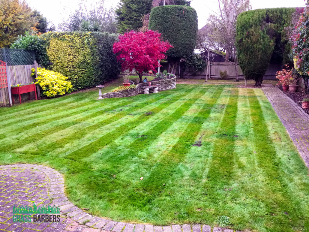 Garden Maintenance Project in Ewell SM2