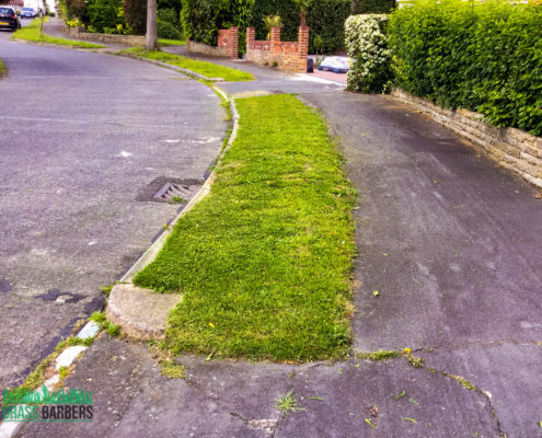 Garden Maintenance Project in Ewell SM2