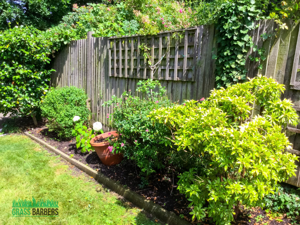 Reliable Garden Maintenance & Lawn Care in Shirley CR0