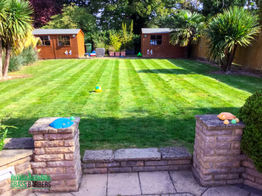 Professional Garden Maintenance Services in South Croydon CR2