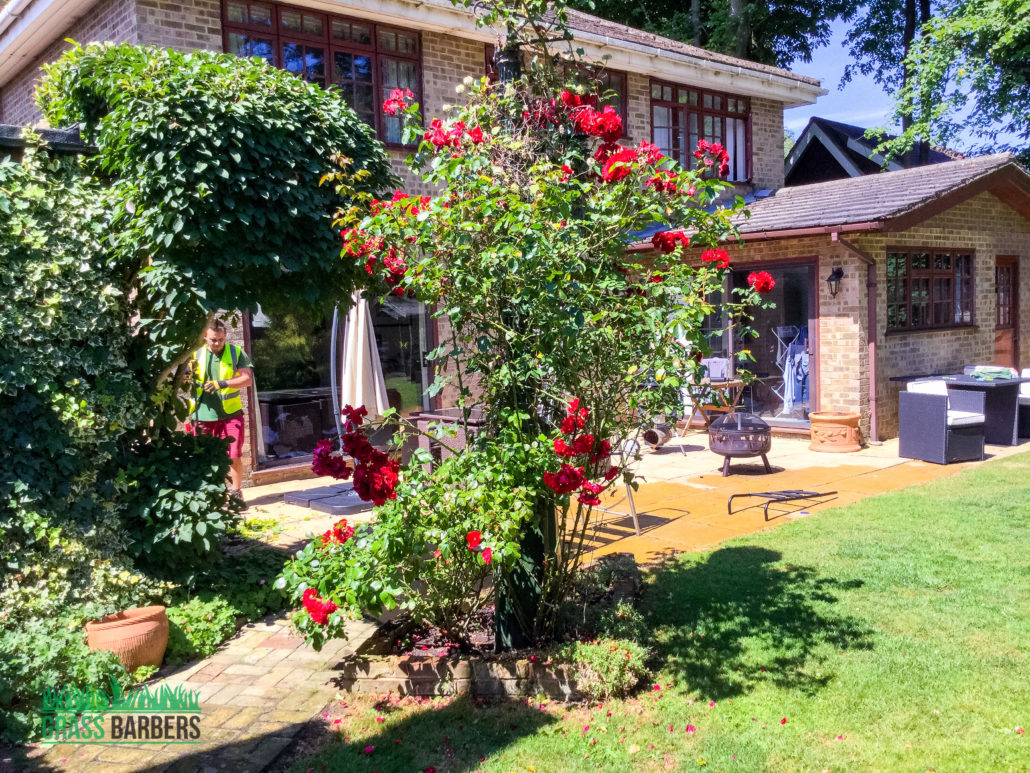 Expert Garden Maintenance Services in Tatsfield TN16