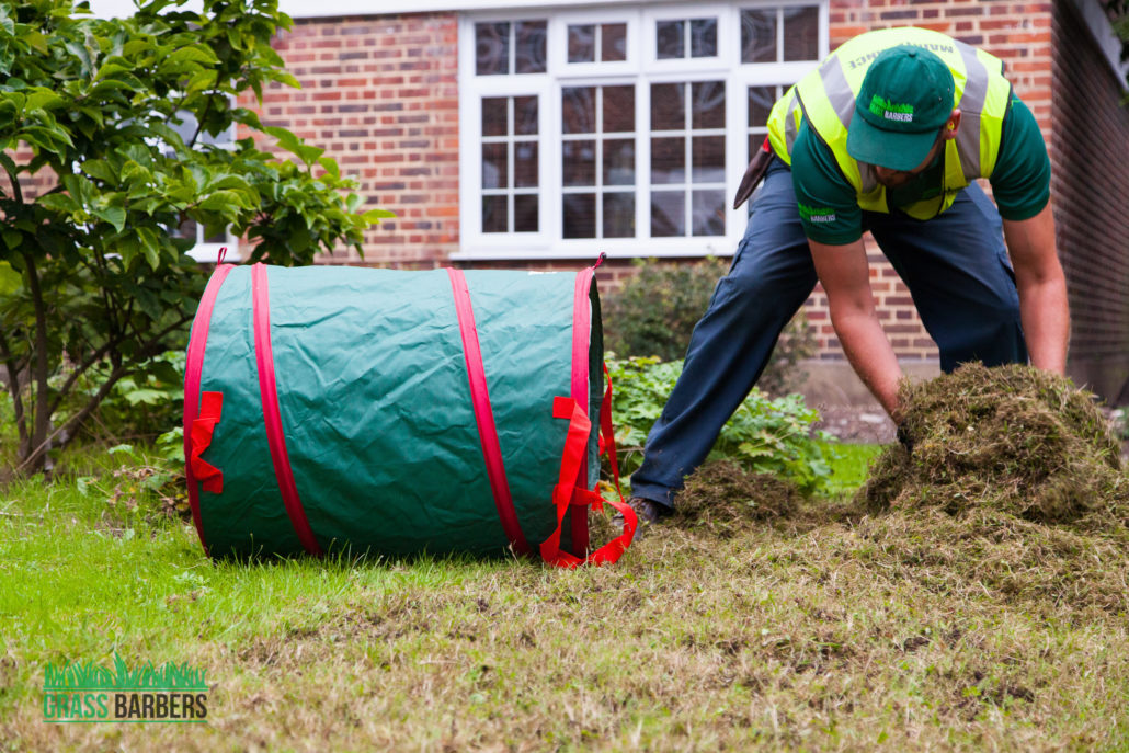 Garden Maintenance Project in Tooting Bec SW17, London