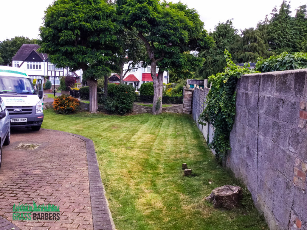 Grass Cutting Project in East Croydon CR0