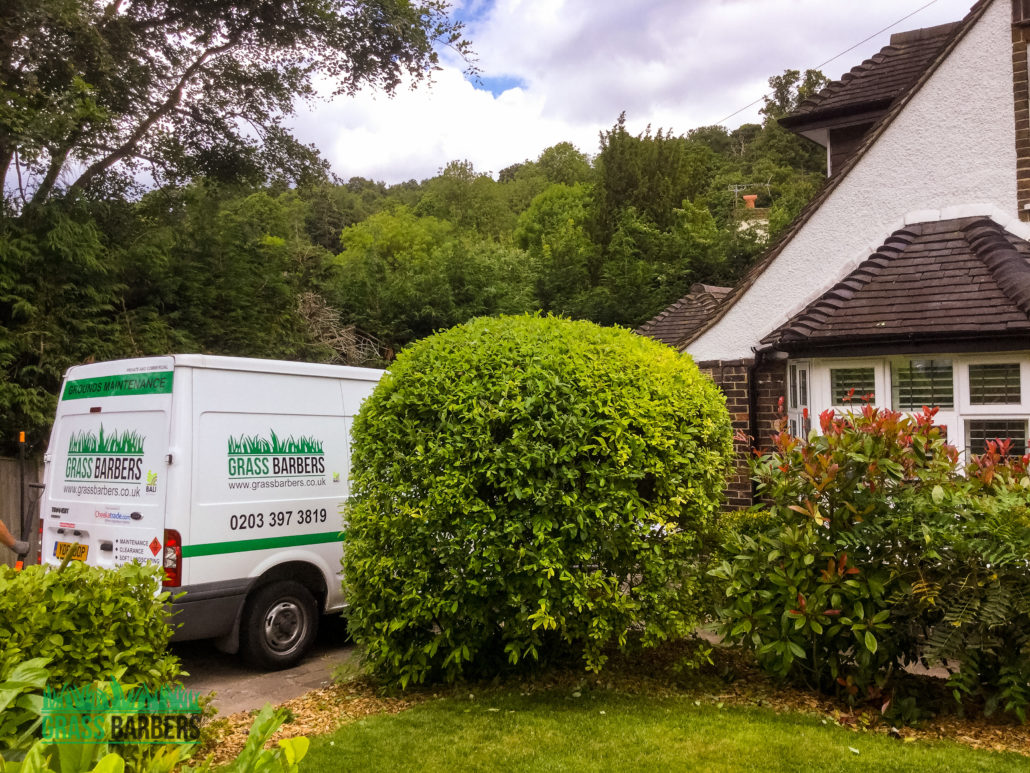 Grass Cutting Project in South Croydon CR2