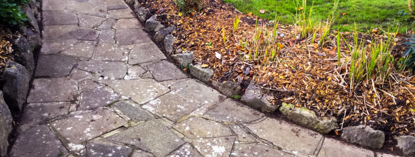 Grass Cutting Project in South Croydon CR2