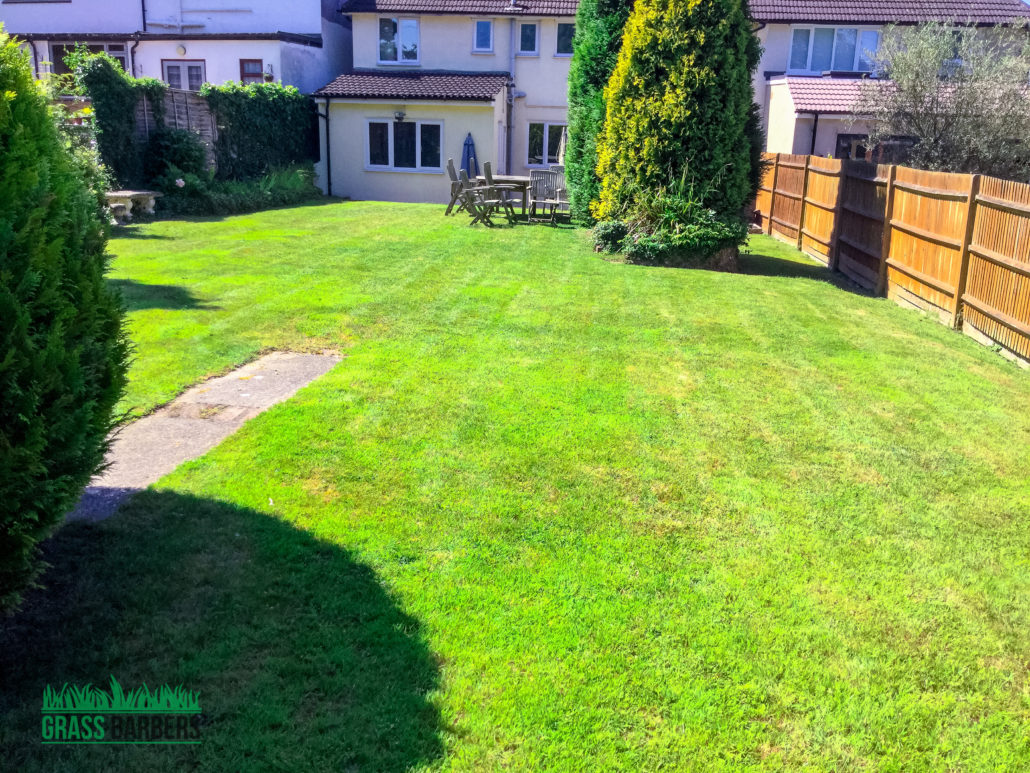 Professional Grass Cutting & Gardening Services in Selsdon CR2
