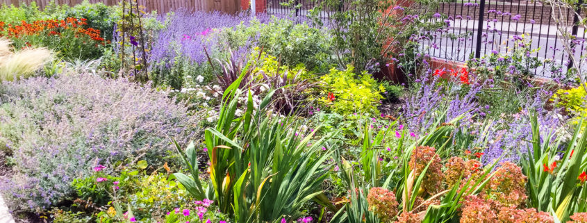 Grounds Maintenance of Retirement Development Project in Sidcup DA14