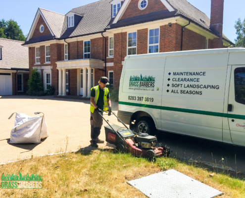 Garden maintenance services in Oxshott KT22