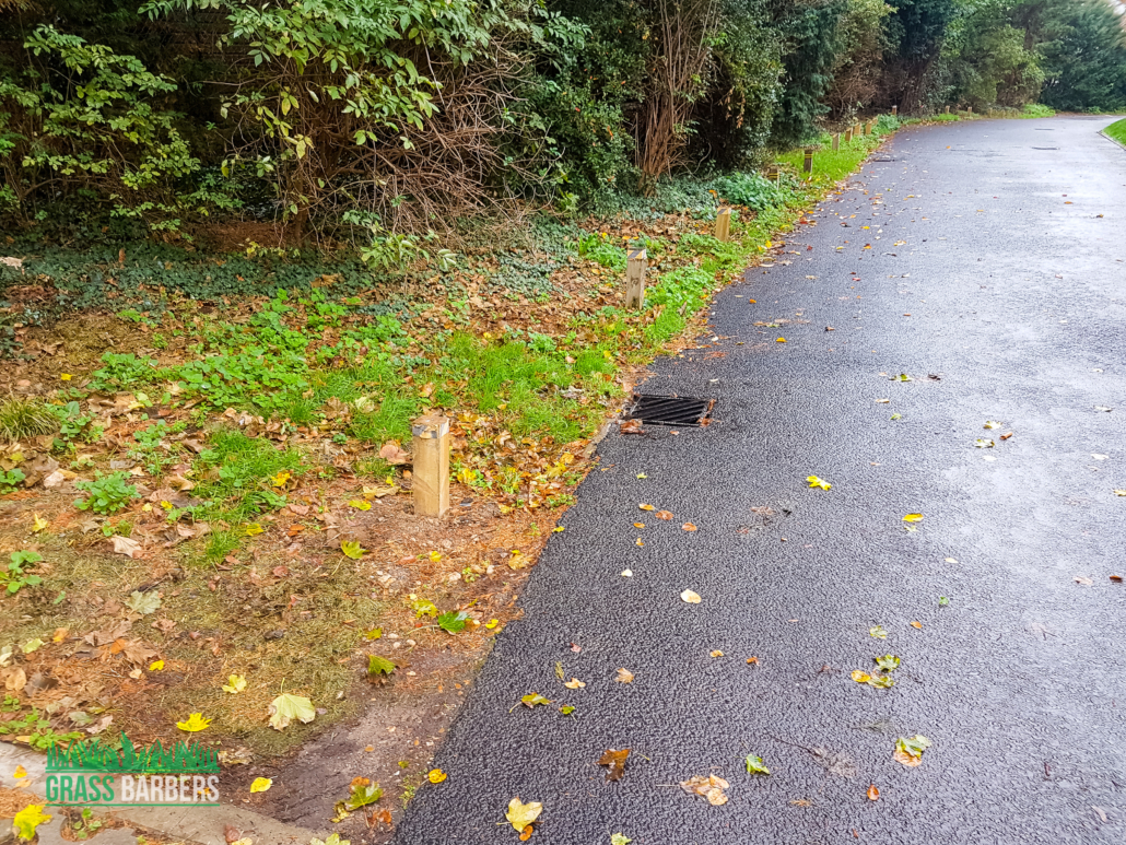 Commercial Grounds Maintenance Project in Richmond TW10