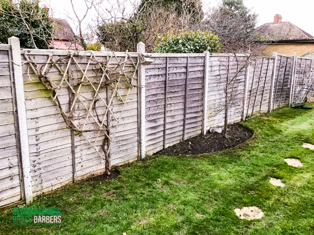 Garden Maintenance Project in Epsom KT19