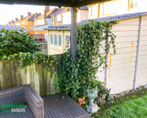 Garden Maintenance Project in Epsom KT19