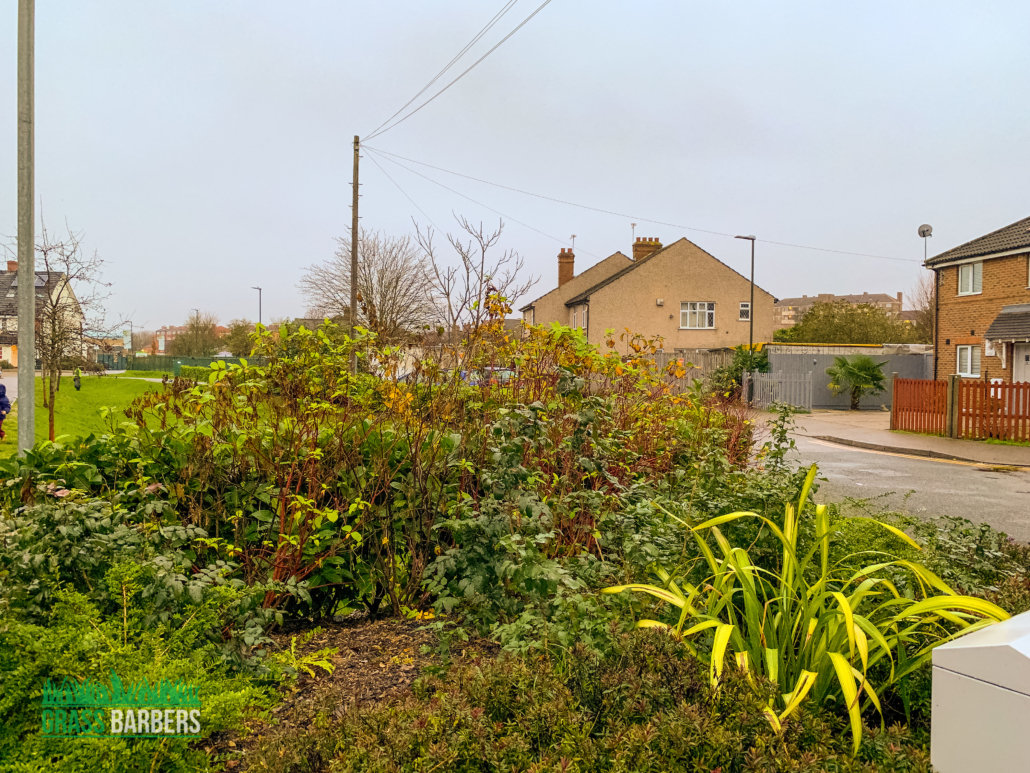 Landscape Maintenance Project in Mitcham CR4