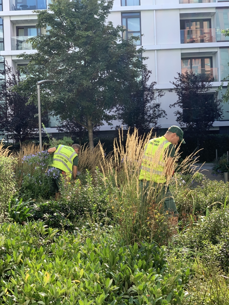 Landscape Maintenance Project – Nine Elms, SW8