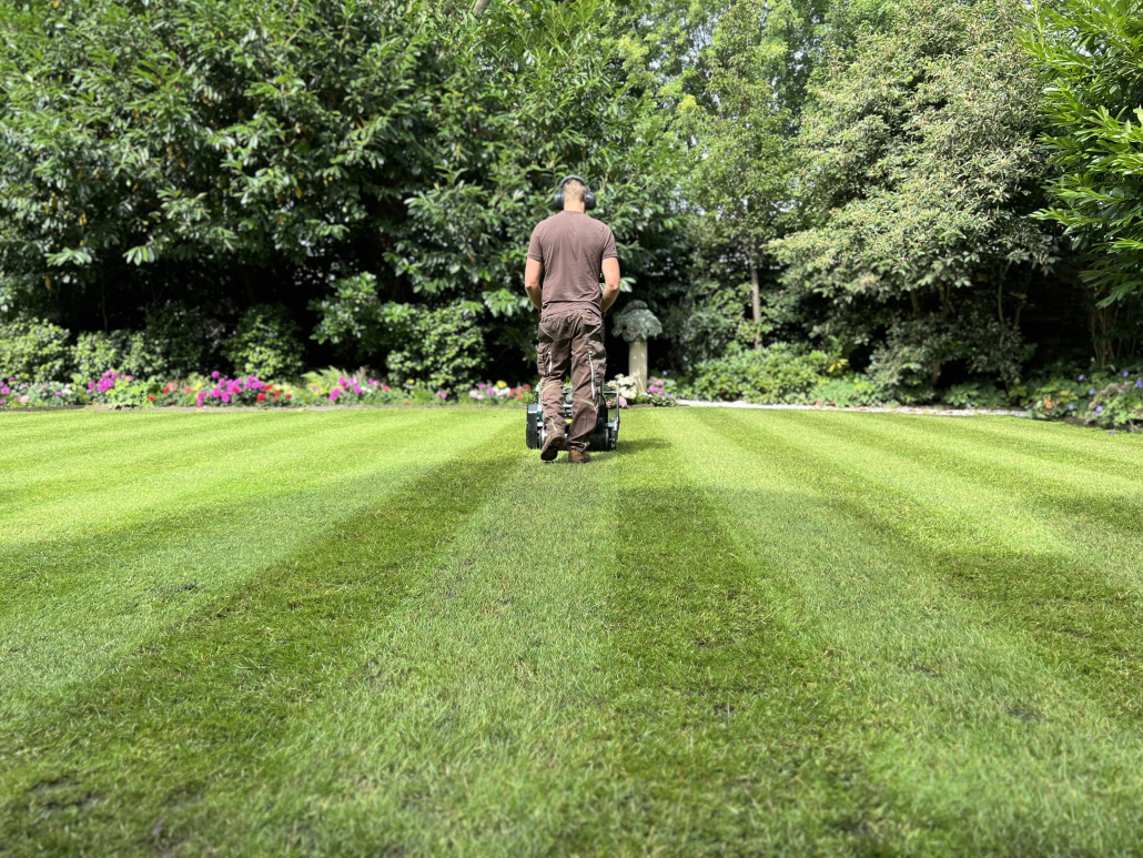 Professional Garden Maintenance Services in Battersea SW11